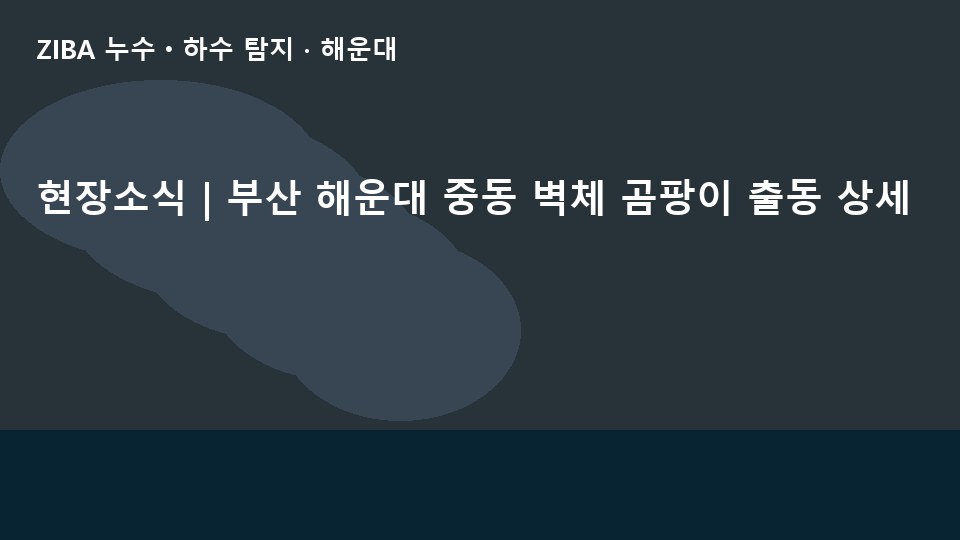 현장소식 | 부산 해운대 중동 벽체 곰팡이 출동 상세